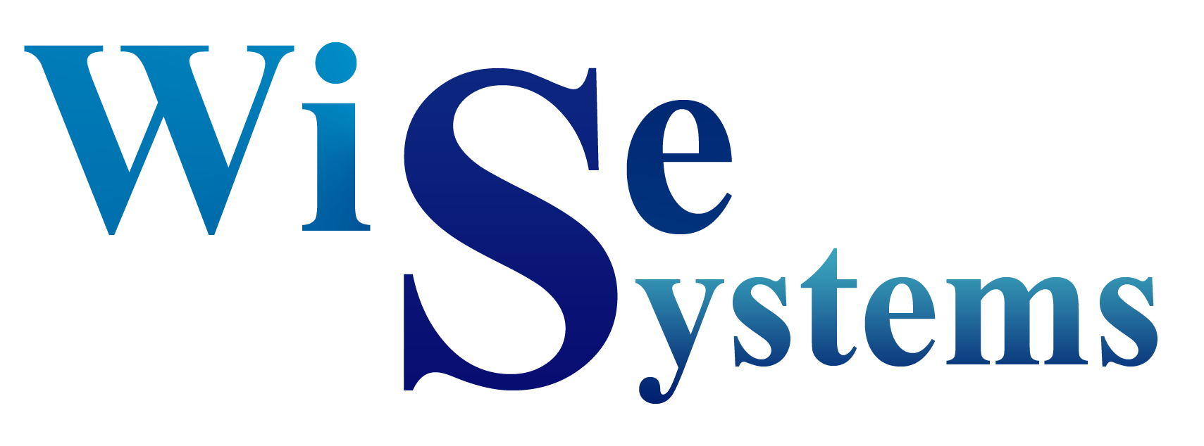 Wise Systems
