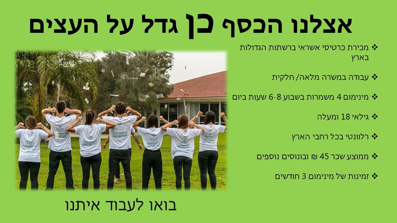 קקטוס
