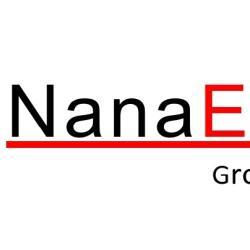 Nanaex-Gruppe