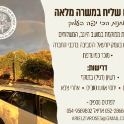 זיו רוזס משק זיו
