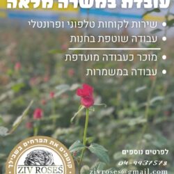 זיו רוזס משק זיו