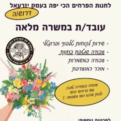 Rosas Ziv