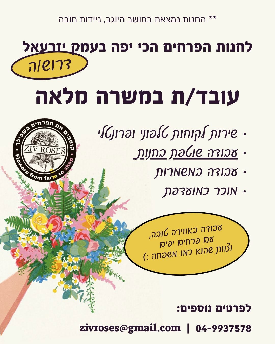 זיו רוזס