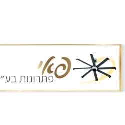 פאי פתרונות בע"מ