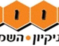 הכוורת בע"מ