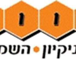 הכוורת בע"מ