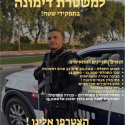 משטרת ישראל